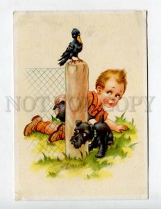 3052751 SCOTTISH TERRIER & Boy & CROW Vintage PC