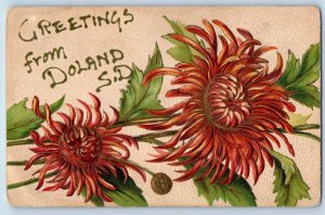 Doland South Dakota SD Postcard Greetings Glitter Flower Embossed c1910 Vintage