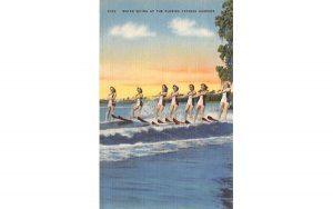 Water Skiing at the Florida Cypress Gardens  