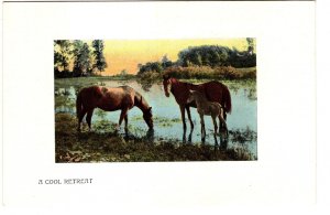 A Cool Retreat, Horses