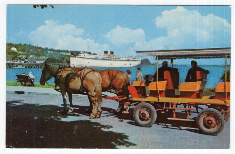 SS North American Visits Mackinac Island