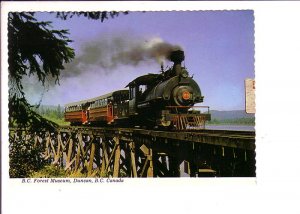 Sampson Railway Train, Forest Museum, Duncan, British Columbia