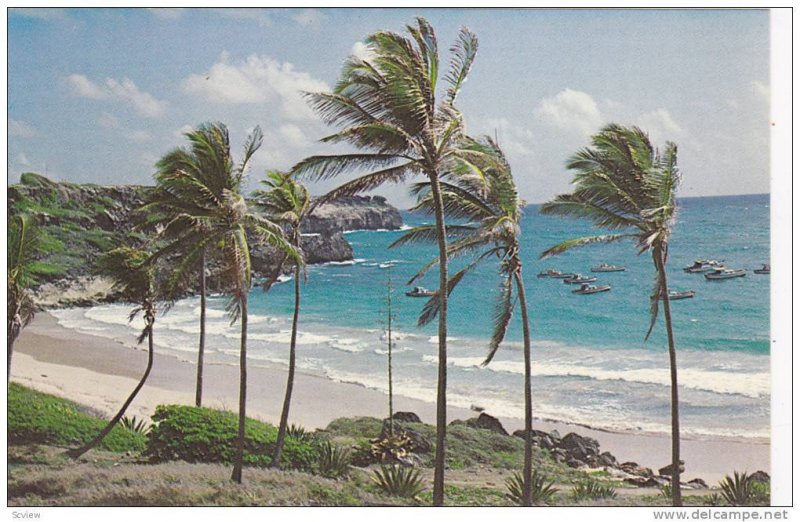 DC3 South Coast Beach, Barbados, West Indies, 1950-1960s