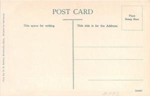 Monticello Minnesota~High School Building & Grounds~Small Trees & Bicycle~c1910