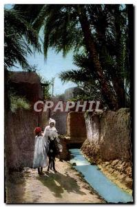 Old Postcard Scenes Types North Sene Arab Village Africa Donkey Donkey