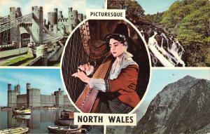 BR66148 pictoresque  north wales woman playing harp 14x9cm