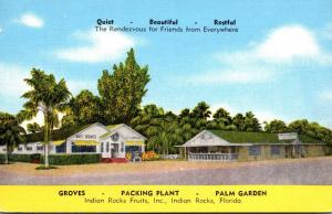 Florida Indian Rocks The Indian Rocks Groves Garden Room & Palm Garden Citrus...