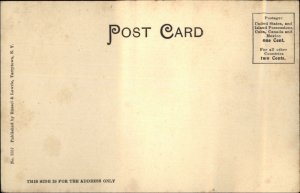 Tarrytown NY The Lakes c1905 Postcard