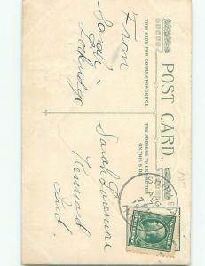 Divided-Back BEAUTIFUL FLOWERS SCENE Great Postcard AA2933