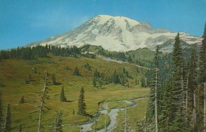 America Postcard - Mount Rainier and Paradise Valley, Washington State   T10322