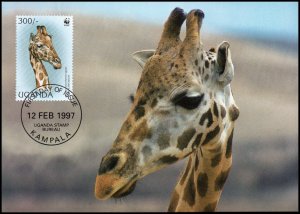 Uganda -Maximum card WWF Giraffe 1998 (2)