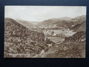Cymru Gwynedd North Wales VALE OF FFESTINIOG c1930s Postcard by Frith