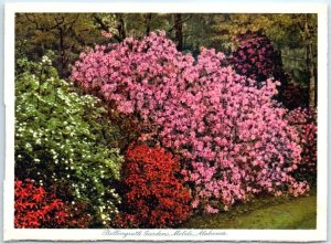 Postcard - Bellingrath Gardens - Mobile, Alabama