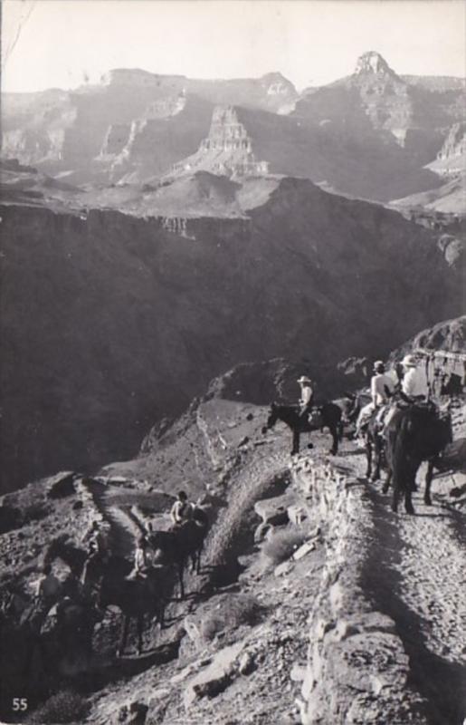 Arizona Grand Canyon Scene With Horseback Riders 1952 Real Photo