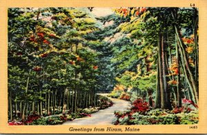 Maine Greetings From Hiram