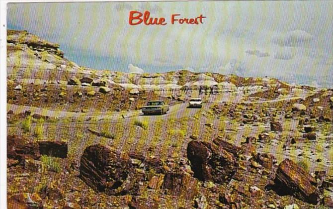 Arizona Petrified Forest The Blue Forest 1980