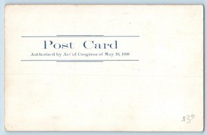 1900 Salem South Dakota SD Vintage Postcard Public School Building Exterior View