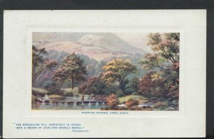 Wales Postcard - Stepping Stones, Capel Curig - Wordsworth   RS11192