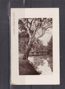 VICTORIA, DIMBOOLA, RIVER & BRIDGE, c1910 ppc., unused.
