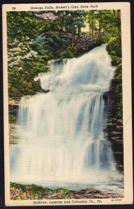 Pennsylvania Ganoga Falls head of the Glen Rickett's Glen State Park LINEN