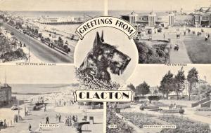 CLACTON ON SEA ESSEX UK~GREETINGS FROM-MULTI IMAGE SCOTTIE DOG  POSTCARD