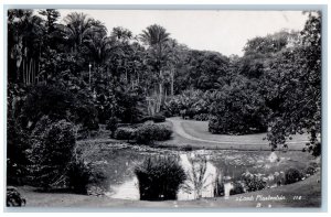 Garut Indonesia Postcard s'Lands Plantentuin c1910 Antique RPPC Photo