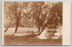 RPPC Beautiful Pond In Illinois Real Photo Postcard B47