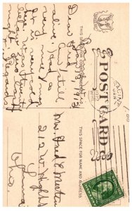 Dog ,  Boxer , The Admiral