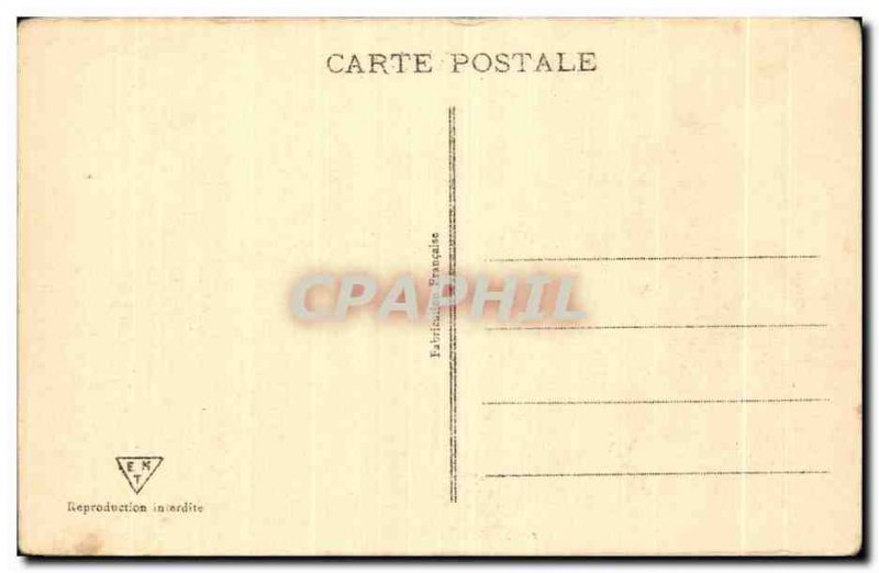 Old Postcard In Algeria Desert Camel Camel