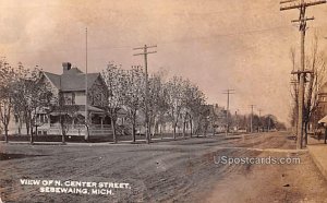 View of N Center Street in Sebewaing, Michigan