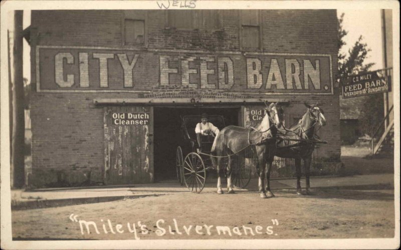 Wells ME Maine City Feed Barn Horse carriage Great Signs Real Photo Postcard