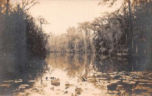 Florida Palatlakaha River Lily Pads Scenic View Real Photo Postcard AA74505