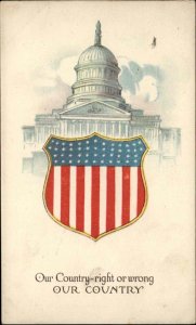 Washington DC Patriotic American Shield Our Country Vintage Postcard