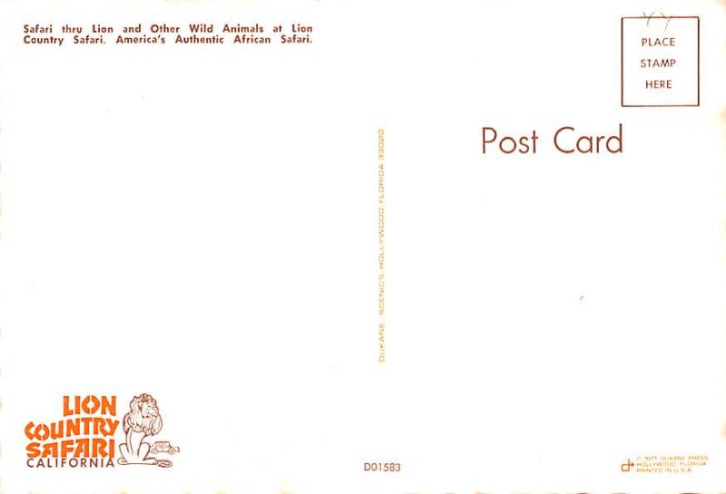 Zebra - Lion Country Safari