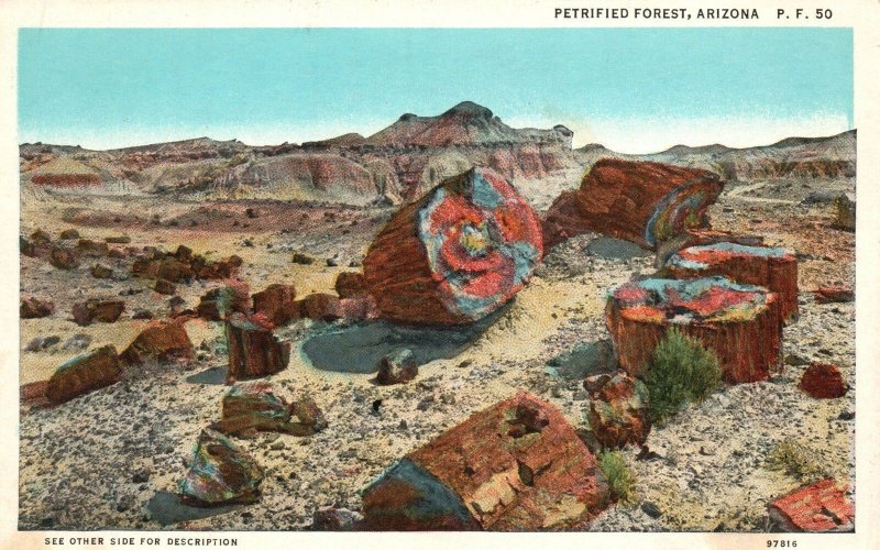 Vintage Postcard 1920's Petrified Wood Forest Arizona AZ Art Mart Albuquerque NM