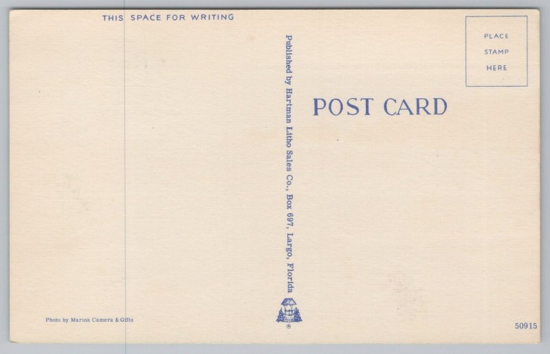 State View~Crowded Bathers During Winter @ Clearwater Beach FL~Vintage Postcard 