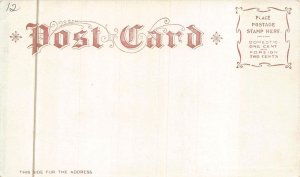 THE CAPITOL WASHINGTON DC LIVINGSTON POSTCARD (c. 1900) !!