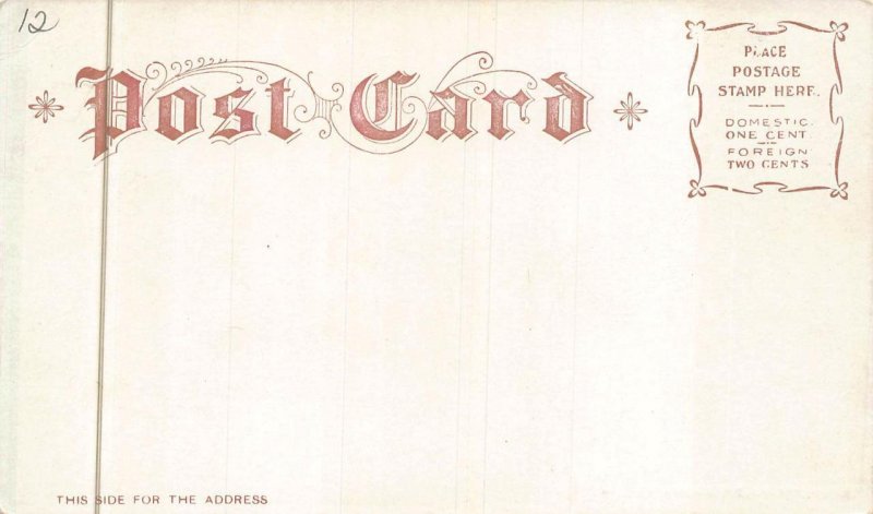 THE CAPITOL WASHINGTON DC LIVINGSTON POSTCARD (c. 1900) !!