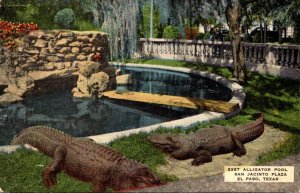 Texas El Paso San Jacinto Plaza Alligator Pool