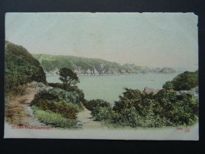 Guernsey MOULIN HUET c1903 Postcard by J.W.& S. c/456