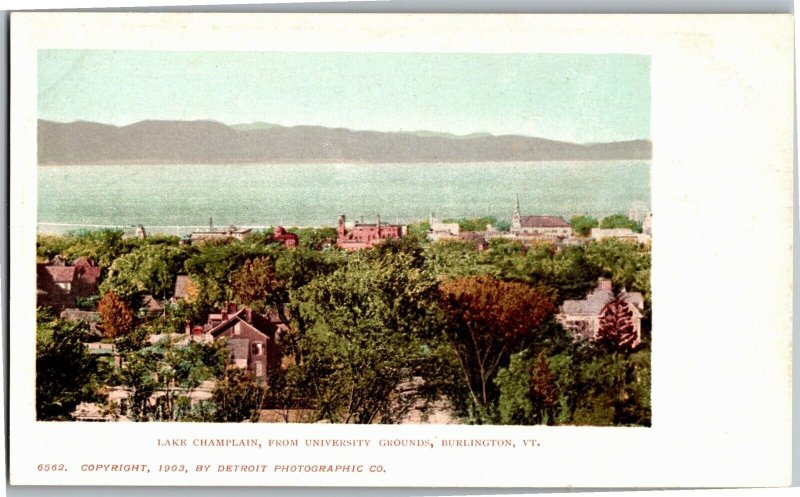 Lake Champlain from University Grounds Burlington VT UDB Vintage Postcard V06