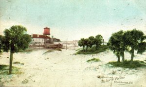 1914 ISLE OF PALMS S.C. SOUTH CAROLINA BEACH PALMETTOS CHARLESTON POSTCARD P355