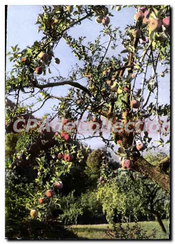 Modern Postcard A Walk In The Autumn Roussillon