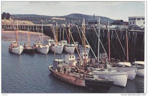 Scallop boats , Digby , Nova Scotia , Canada , 50-60s