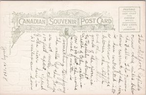 Whirlpool Rapids Niagara Falls Ontario Embossed Flags Crests c1908 Postcard F33