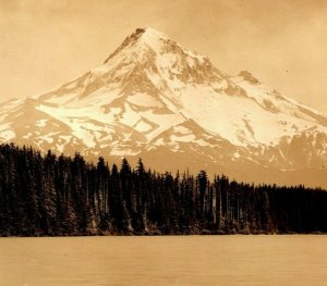 RPPC Mt Mount Hood View From Lost Lake Oregon OR UNP 1930s DOPS Postcard