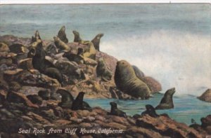 Seal Rock From Cliff House California 1909
