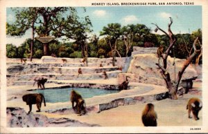 Texas San Antonio Breckenridge Park Monkey Island 1934 Curteich