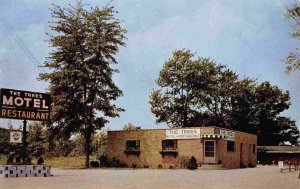 The Trees Motel Restaurant US Route 42 Middleburgh Heights Ohio 1950s postcard