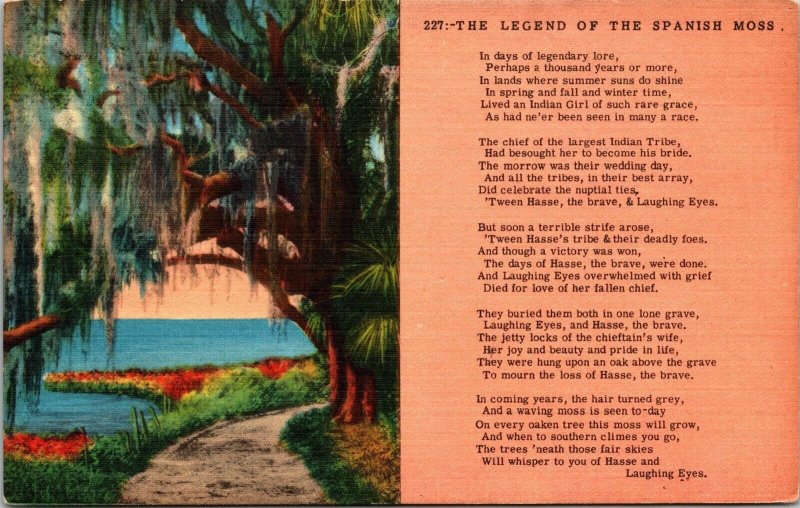 Famous Legend Of Spanish Moss Poem Florida Scenic Swamp Landscape Linen Postcard 